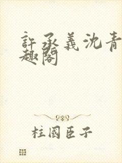 许承义沈青茵笔趣阁封面