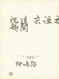 祝琰 宋洹之笔趣阁封面