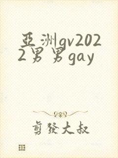 亚洲gv2022男男gay