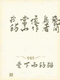 我当像鸟飞往你的山作者简介封面