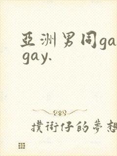 亚洲男同gay gay.封面