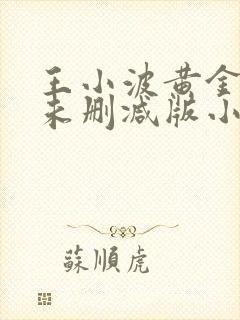 王小波黄金时代未删减版小说