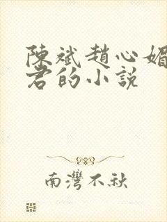 陈斌赵心媚高婉君的小说