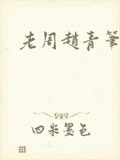 老周赵青笔趣阁