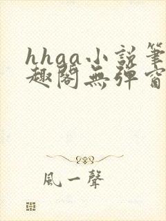 hhaa小说笔趣阁无弹窗最新章节