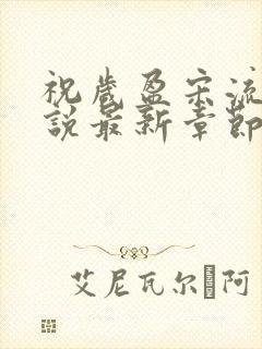 祝岁盈宋流景小说最新章节更新时间封面