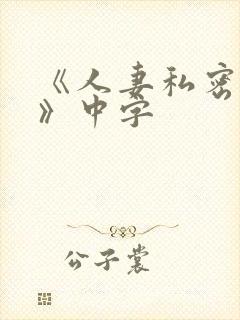 《人妻私密写真》中字