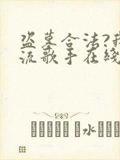 盗墓合法?我顶流歌手在线盗墓在线免费阅读封面