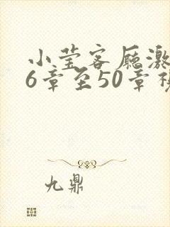 小莹客厅激情46章至50章视