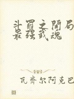 斗罗之开局觉醒最强武魂