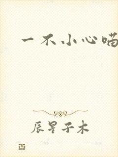 一不小心喵上你