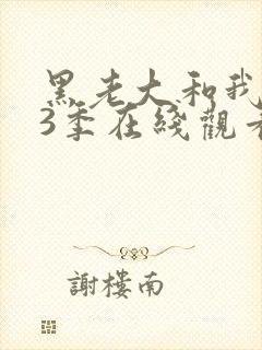 黑老大和我的第3季在线观看全集免费高清