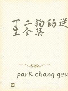 丁二狗的逆袭人生全集