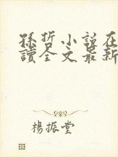 孙哲小说在线阅读全文最新