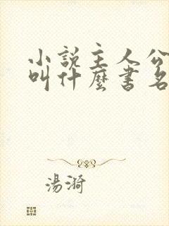 小说主人公杨洛叫什么书名封面