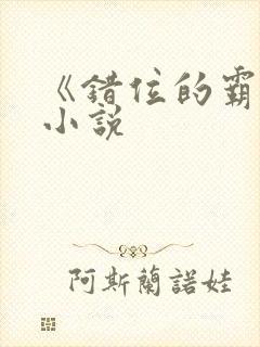 《错位的霸权》小说