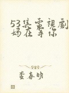 53集电视剧妈妈在等你