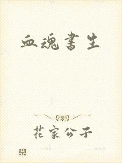 血魂书生