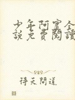 少年阿宾全文小说免费阅读笔趣阁封面