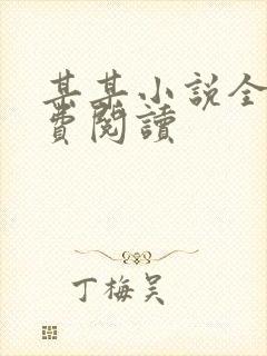 某某小说全文免费阅读