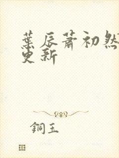 叶辰萧初然手写更新