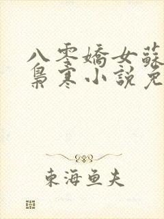 八零娇女苏婉霍枭寒小说免费阅读