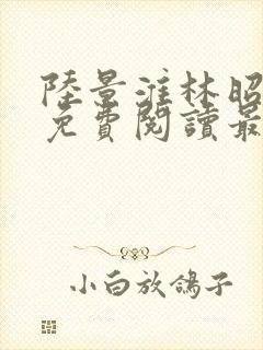 陆景淮林昭小说免费阅读最新章节