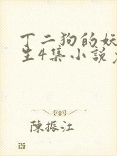 丁二狗的妖孽人生4集小说免费阅读无弹窗