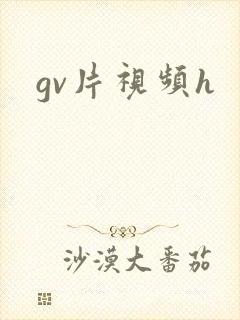 gv片视频h
