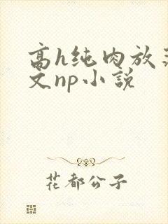 高h纯肉放荡h文np小说