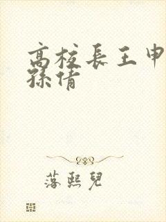 高校长王申赵振孙倩