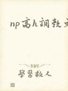 np高h调教文