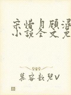 宋惜月顾浔渊的小说全文免费阅读