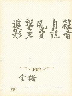 追击风月杀手电影免费观看完整版封面