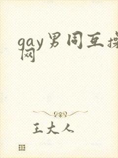 gay男同互操网