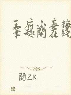 王府小妾梅素素笔趣阁在线阅读