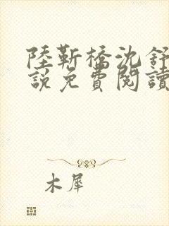 陆靳桥沈舒宁小说免费阅读最新章节封面