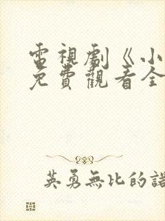 电视剧《小舅》免费观看全集封面