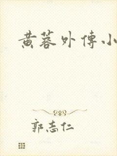黄蓉外传小说封面