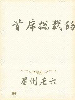 首席总裁的逃妻