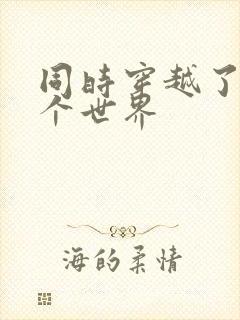 同时穿越了99个世界封面