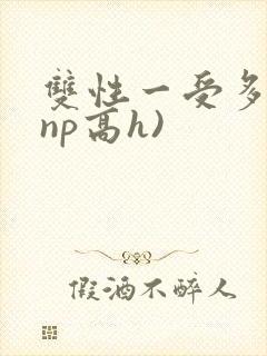双性一受多攻(np高h)