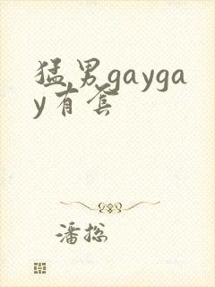 猛男gaygay有套