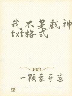 我不是戏神小说txt格式