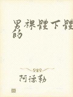 男裸体下体中国的