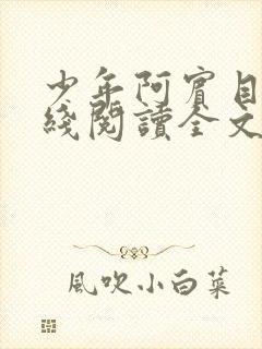 少年阿宾目录在线阅读全文