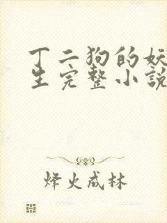 丁二狗的妖孽人生完整小说笔