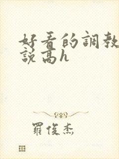 好看的调教文小说高h