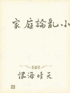 家庭论乱小说封面