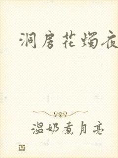 洞房花烛夜小说